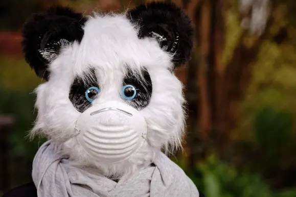 ヘイスピン カジノ サポート